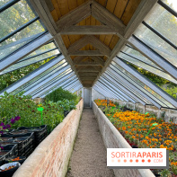 Le Jardin du Parfumeur à Versailles