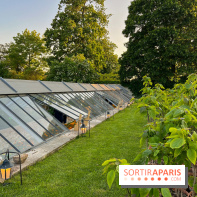 Le Jardin du Parfumeur à Versailles