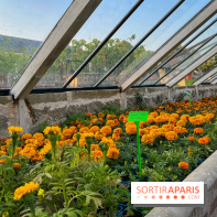 Le Jardin du Parfumeur à Versailles