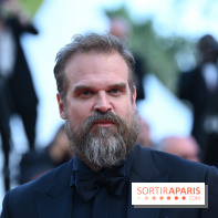 ©Rachid Bellak - David Harbour