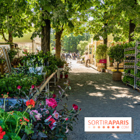 Jardins jardin au Tuileries 2023 - photos  -  A7C4757