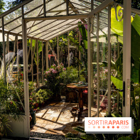 Jardins jardin au Tuileries 2023 - photos  -  A7C4721