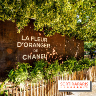 Jardins jardin au Tuileries 2023 - photos  -  A7C4700