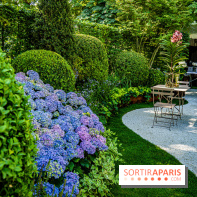 Jardins jardin au Tuileries 2023 - photos  -  A7C4644