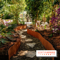 Jardins jardin au Tuileries 2023 - photos  -  A7C4640