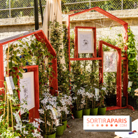 Jardins jardin au Tuileries 2023 - photos  -  A7C4620