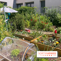 Jardins partagés (toit Beaugrenelle) - image00005