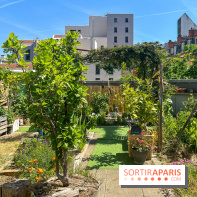 Jardins partagés (toit Beaugrenelle) - image00006