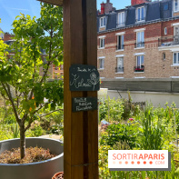 Jardins partagés (toit Beaugrenelle) - image00007