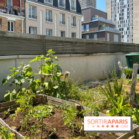 Jardins partagés (toit Beaugrenelle) - image00010
