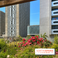 Jardins partagés (toit Beaugrenelle) - image00012
