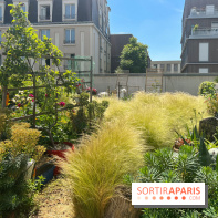 Jardins partagés (toit Beaugrenelle) - image00014