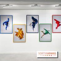 Exposition The Levitation Project de Forgetmat à l'Espace Commines