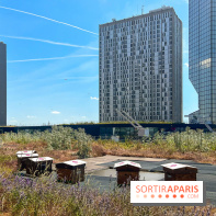 Les toits de Beaugrenelle - image00009