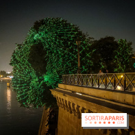Nuit Blanche 2023 : des projections lumineuses magiques au Square du Vert Galant de l'Île de la Cité