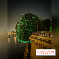 Nuit Blanche 2023 : des projections lumineuses magiques au Square du Vert Galant de l'Île de la Cité