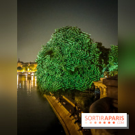 Nuit Blanche 2023 : des projections lumineuses magiques au Square du Vert Galant de l'Île de la Cité