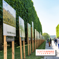 Le Gué, l'installation éphémère du Domaine de Sceaux qui fait marcher sur l'eau
