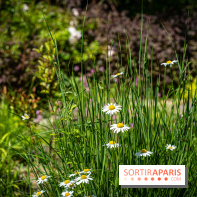 Les Jardins de Sonja au Perray-en-Yvelines