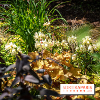 Les Jardins de Sonja au Perray-en-Yvelines