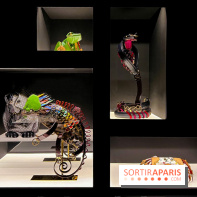 Exposition  - image00001