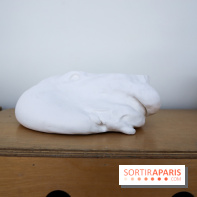 De(s)rives 2023 : nos photos de l'expo insolite au gymnase Huyghens - IMG 0193