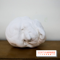 De(s)rives 2023 : nos photos de l'expo insolite au gymnase Huyghens - IMG 0194