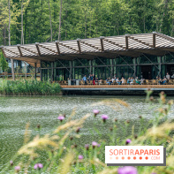 Perchoir Y, restaurant par Guillaume Sanchez et guinguette en forêt -  A7C5841