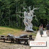 Perchoir Y, restaurant par Guillaume Sanchez et guinguette en forêt -  A7C5865