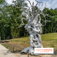 Perchoir Y, restaurant par Guillaume Sanchez et guinguette en forêt -  A7C5873