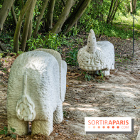 Perchoir Y, restaurant par Guillaume Sanchez et guinguette en forêt -  A7C5876