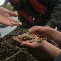 La soirée de sensibilisation à la protection de nos océans à la Recyclerie - WALES 1.74.1