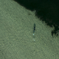 La soirée de sensibilisation à la protection de nos océans à la Recyclerie - PORTUGAL 1.13.1