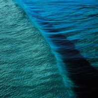 La soirée de sensibilisation à la protection de nos océans à la Recyclerie - maassen m 0147 cc WEB