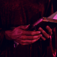 L'expérience immersive Wolf Gang - 48