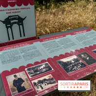 Jardin d'Agronomie Tropicale, le jardin exotique à Paris -  A7C6803