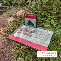 Jardin d'Agronomie Tropicale, le jardin exotique à Paris - IMG 8228