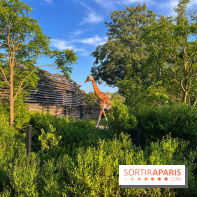 Nocturnes au Parc Zoologique de Paris - IMG 3513
