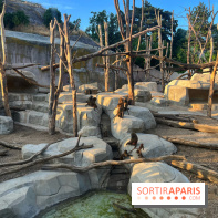 Nocturnes au Parc Zoologique de Paris