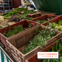 Escapade au Marché, le cours de cuisine du Ritz