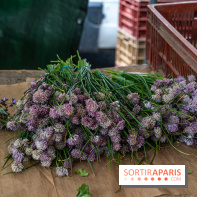 Escapade au Marché, le cours de cuisine du Ritz