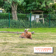 Base de loisirs de Saint-Quentin-en-Yvelines - Ile de loisirs de Trappes - activités
