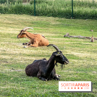 Base de loisirs de Saint-Quentin-en-Yvelines - Ile de loisirs de Trappes - activités