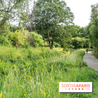 Base de loisirs de Saint-Quentin-en-Yvelines - Ile de loisirs de Trappes - activités