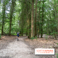 Base de loisirs de Saint-Quentin-en-Yvelines - Ile de loisirs de Trappes - activités -  A7C7367