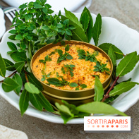 Riviera Paris, la terrasse - restaurant confidentiel dans les jardins d'Apicius -  A7C7712