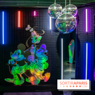 Disney 100 L'Amitié c'est Merveilleux