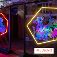 Disney 100 L'Amitié c'est Merveilleux