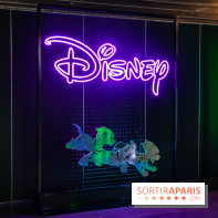 Disney 100 L'Amitié c'est Merveilleux