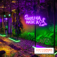 Disney 100 L'Amitié c'est Merveilleux